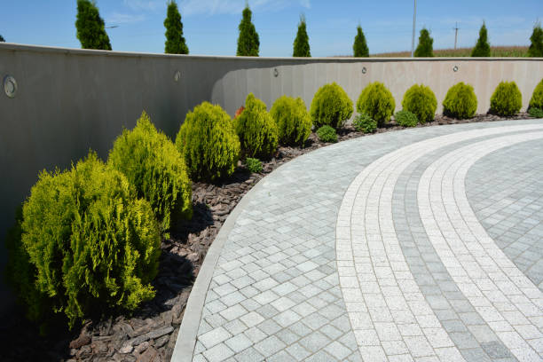 Best Driveway Pavers Near Me  in Lake Clarke Shores, FL